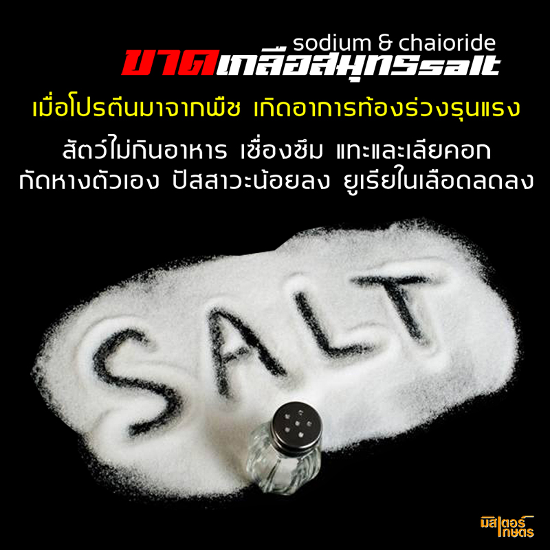 มินเนอร์99 "Minner99" แร่ธาตุจำเป็นสำหรับสัตว์